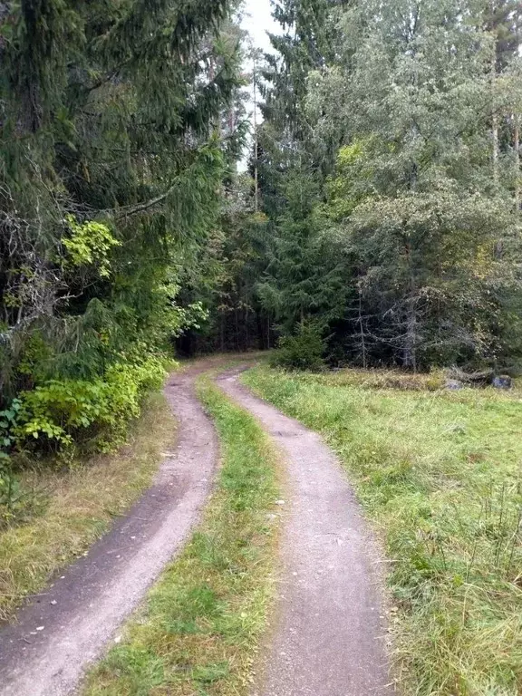 Участок в Ленинградская область, Выборгский район, Советское городское ... - Фото 1