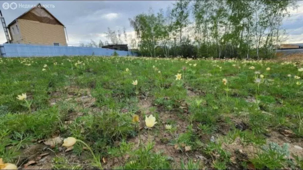 Участок в Якутск, Яблочная улица (10 м) - Фото 2