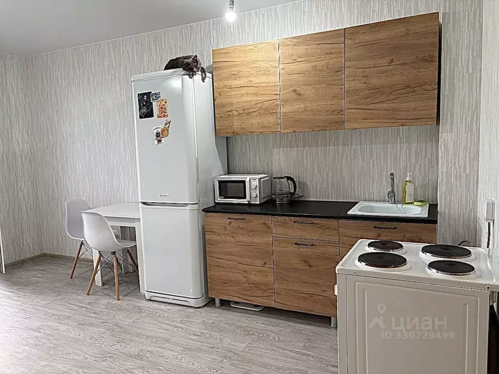 Студия Пермский край, д. Кондратово ул. Водопроводная, 6/1 (23.5 м) - Фото 1