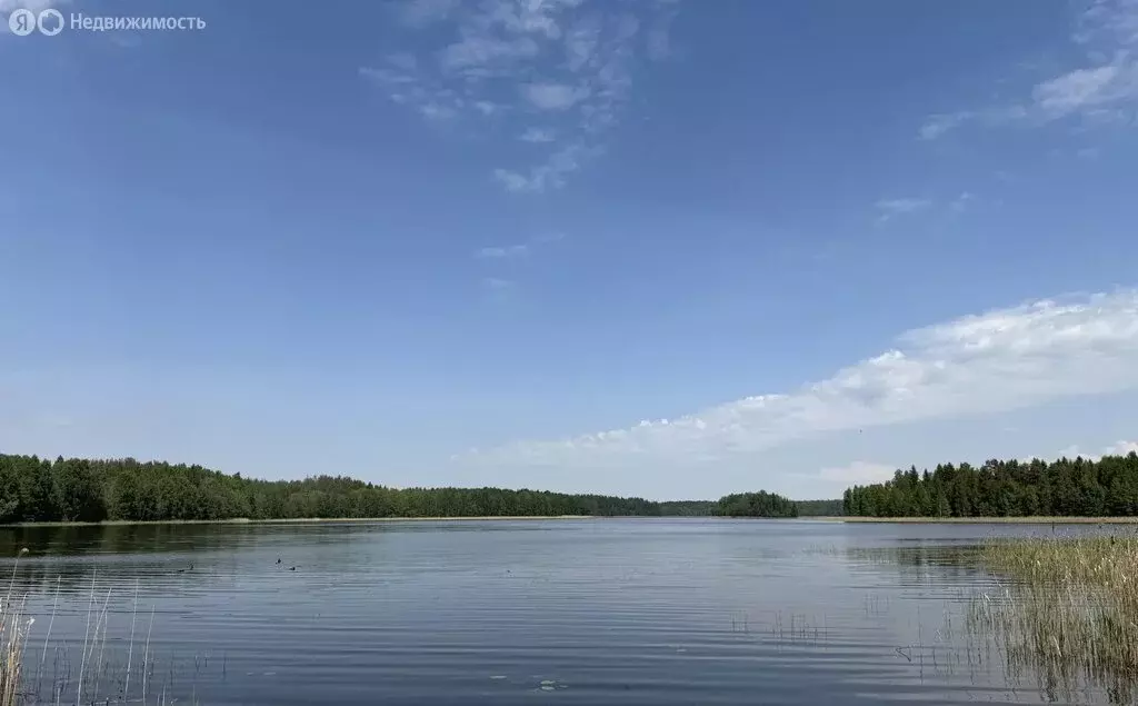 Участок в Псковская область, Великолукский муниципальный округ, ... - Фото 2