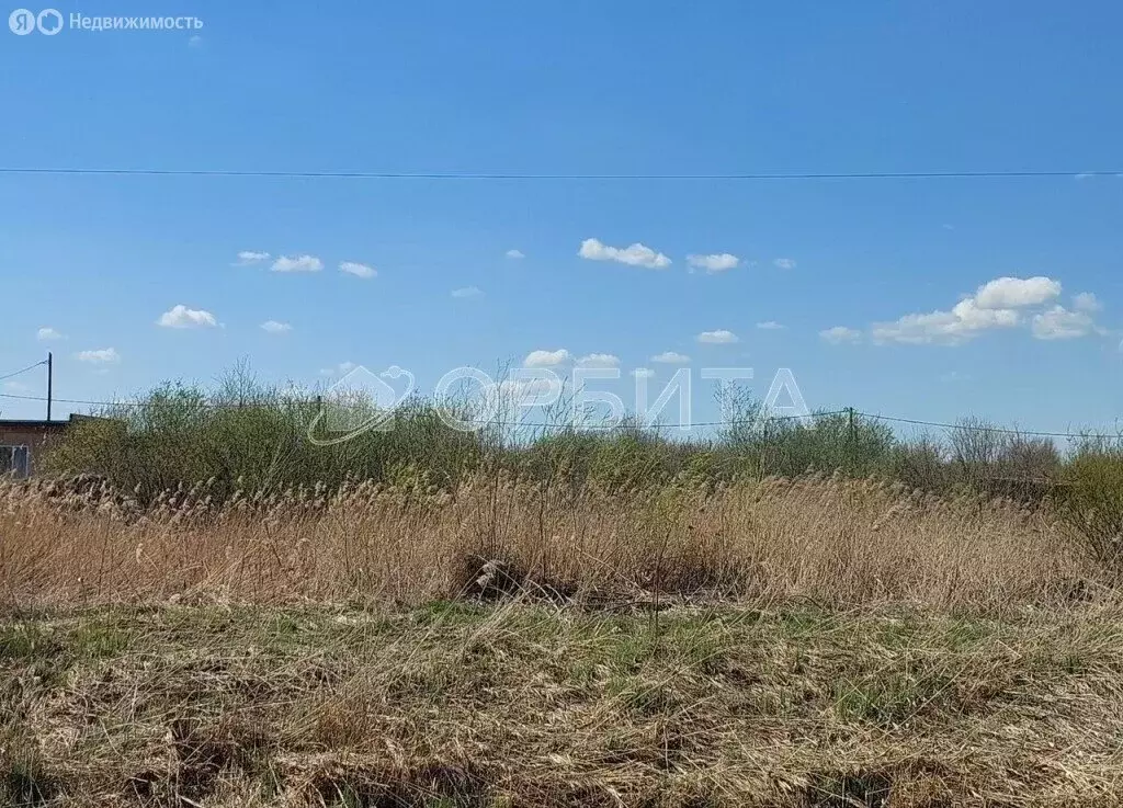 Участок в Тюмень, садоводческое некоммерческое товарищество Матрёшка ... - Фото 2