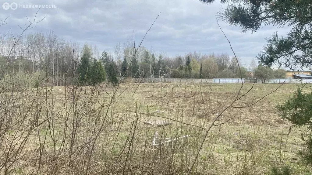 Участок в деревня Поздняково, КП Никольская слобода (50 м) - Фото 2