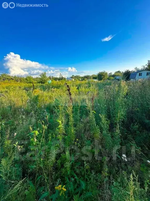 Участок в Смидовичский район, село Осиновка, Осиновая улица, 2 (1818 ... - Фото 1