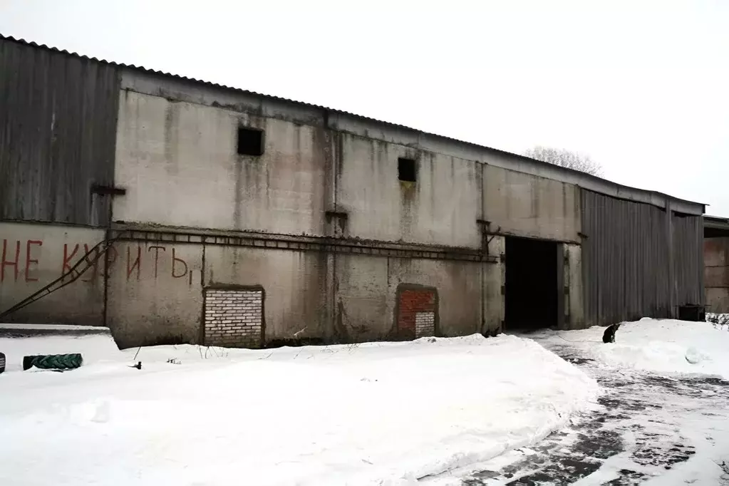Склад в Ленинградская область, Волосовский район, Большеврудское ... - Фото 2