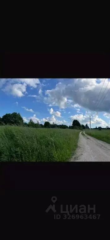 Участок в Ленинградская область, Лужский район, Дзержинское с/пос, ... - Фото 2