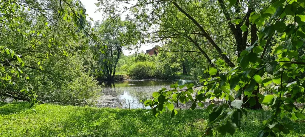 Участок в Московская область, Одинцовский городской округ, д. Шульгино ... - Фото 1