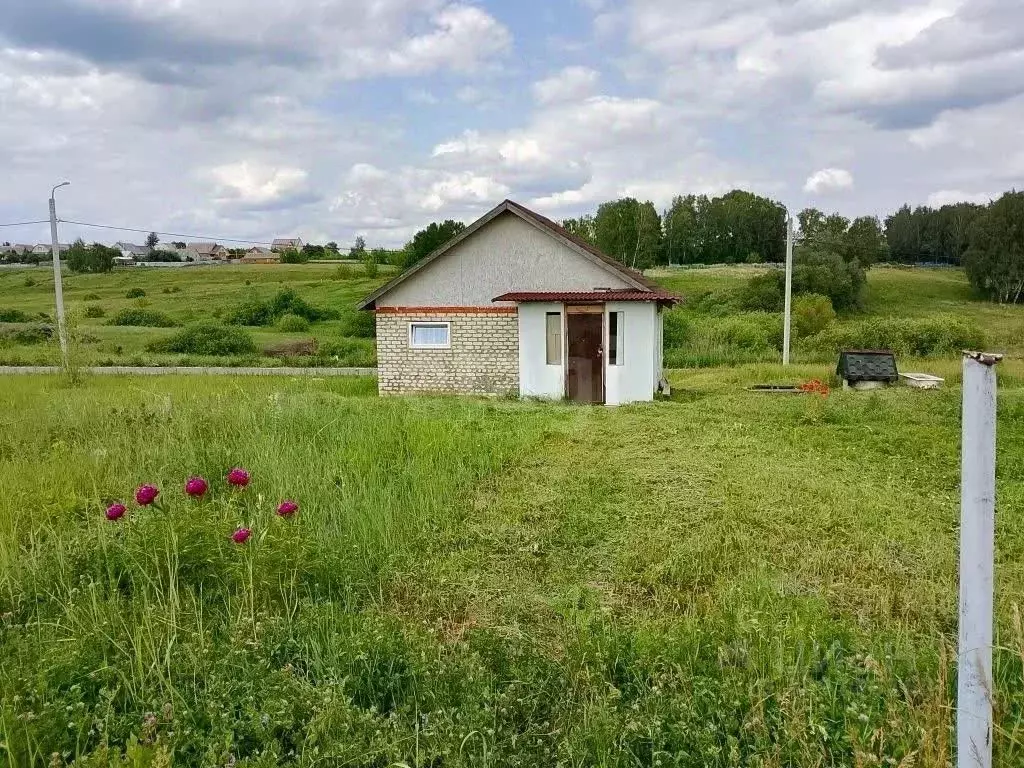 Дом в Мордовия, с. Лямбирь ул. Маринова, 3 (35 м) - Фото 1