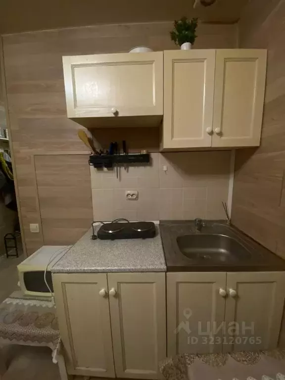 Студия Москва, Москва, Московский г. Маяк СНТ, 31 (19.0 м) - Фото 2