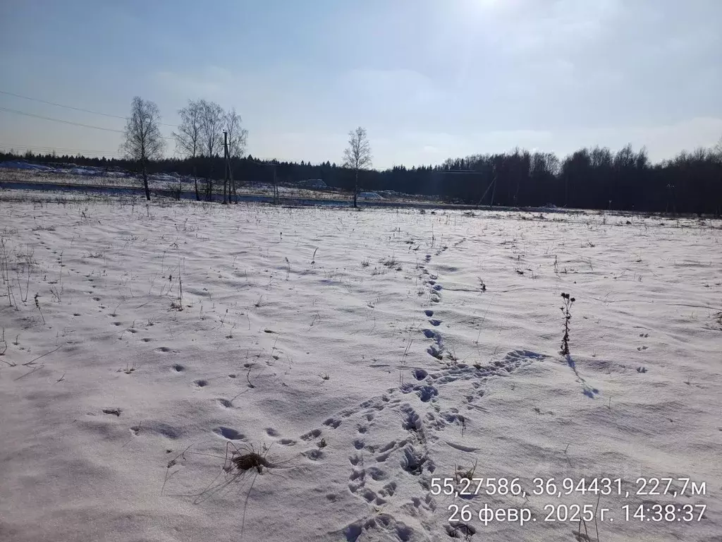 Участок в Московская область, Наро-Фоминский городской округ, д. ... - Фото 0