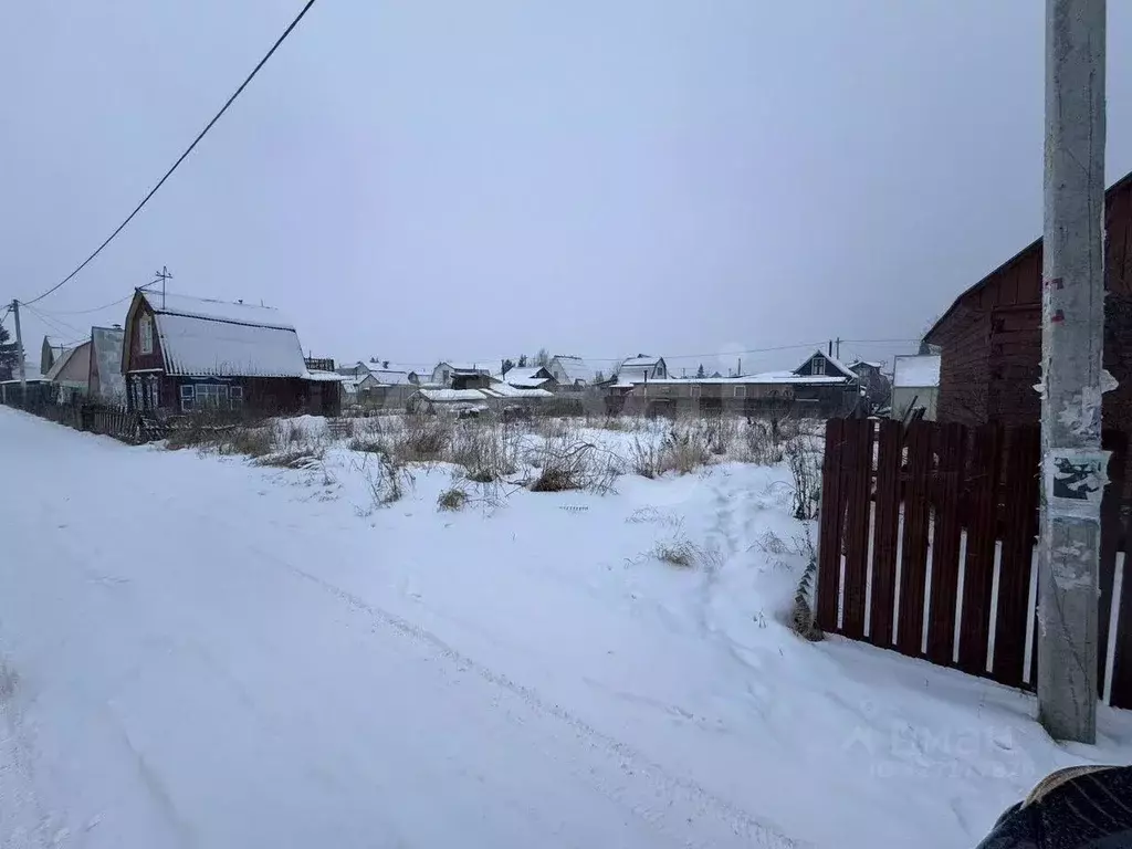 Участок в Новосибирская область, Коченевский район, Недра садовое ... - Фото 1