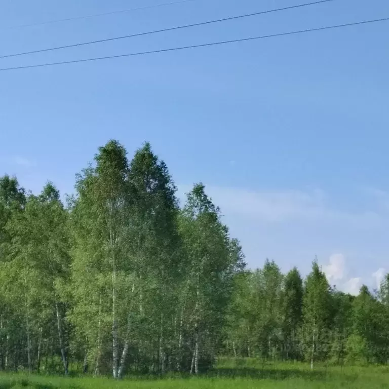 Участок в Смоленская область, Гагаринское с/пос, д. Рыльково ул. ... - Фото 1