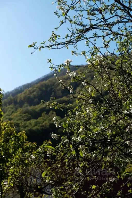Дом в Краснодарский край, Сочи Красная Поляна пгт, ул. Волоколамская, ... - Фото 2