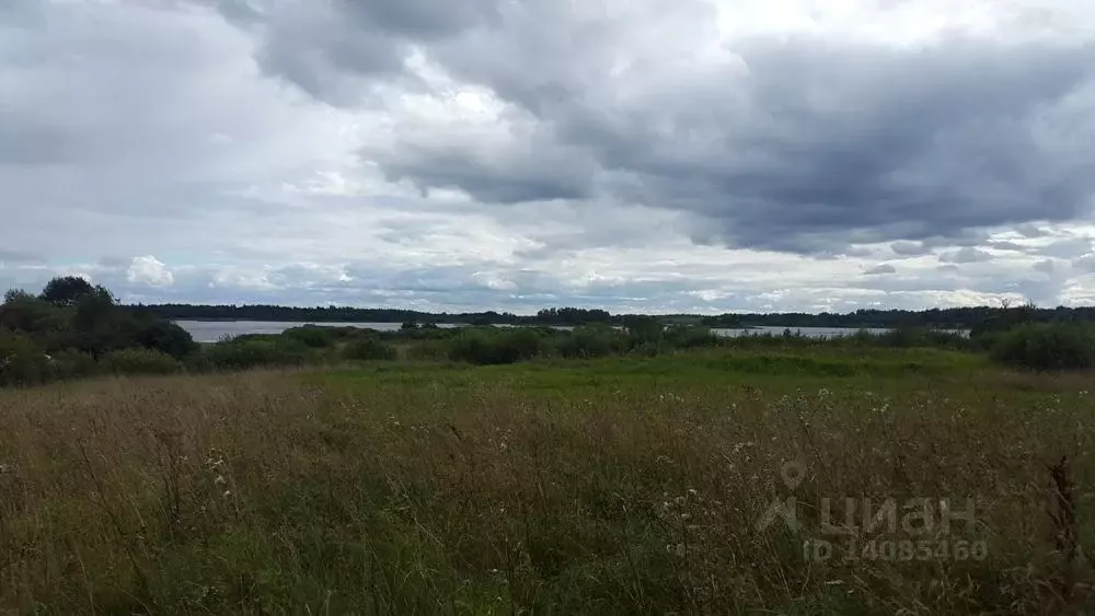 Участок в Тверская область, Торопецкий район, д. Малахи  (12.4 сот.) - Фото 0