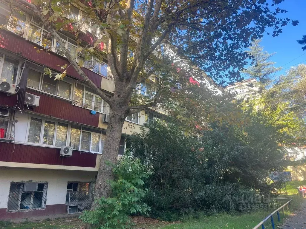 Студия Краснодарский край, Сочи Больничный Городок мкр, ул. Чебрикова, ... - Фото 1