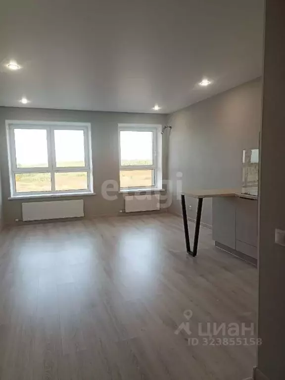 Студия Татарстан, с. Высокая Гора ул. Ирека Миннахметова, 1 (29.7 м) - Фото 1