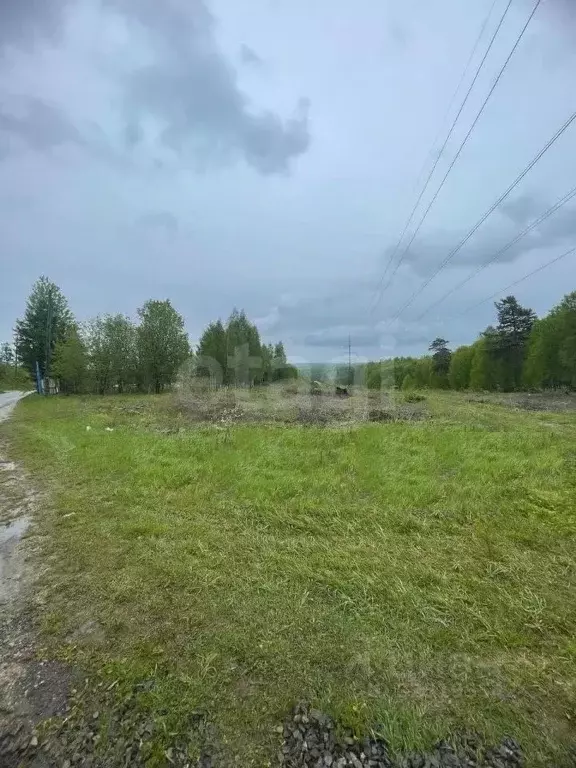 Участок в Красноярский край, Емельяновский муниципальный округ, ... - Фото 1