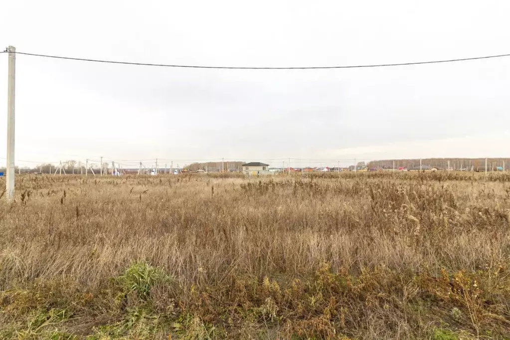 Участок в Тюменская область, Тюменский муниципальный округ, с. ... - Фото 1