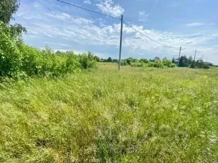 Участок в Омская область, Любинский район, с. Любино-Малороссы ул. ... - Фото 2