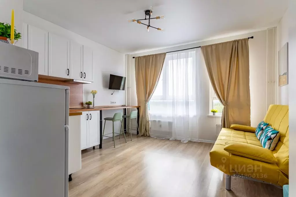 Студия Московская область, Домодедово городской округ, с. Ям ул. ... - Фото 2