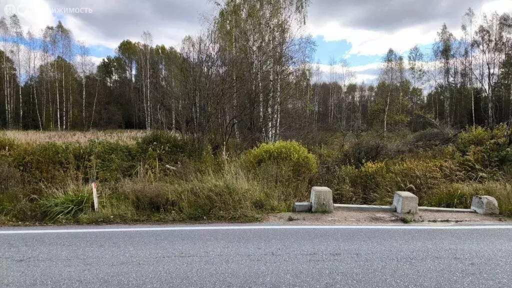 Участок в Выборгский район, Гончаровское сельское поселение, посёлок ... - Фото 1