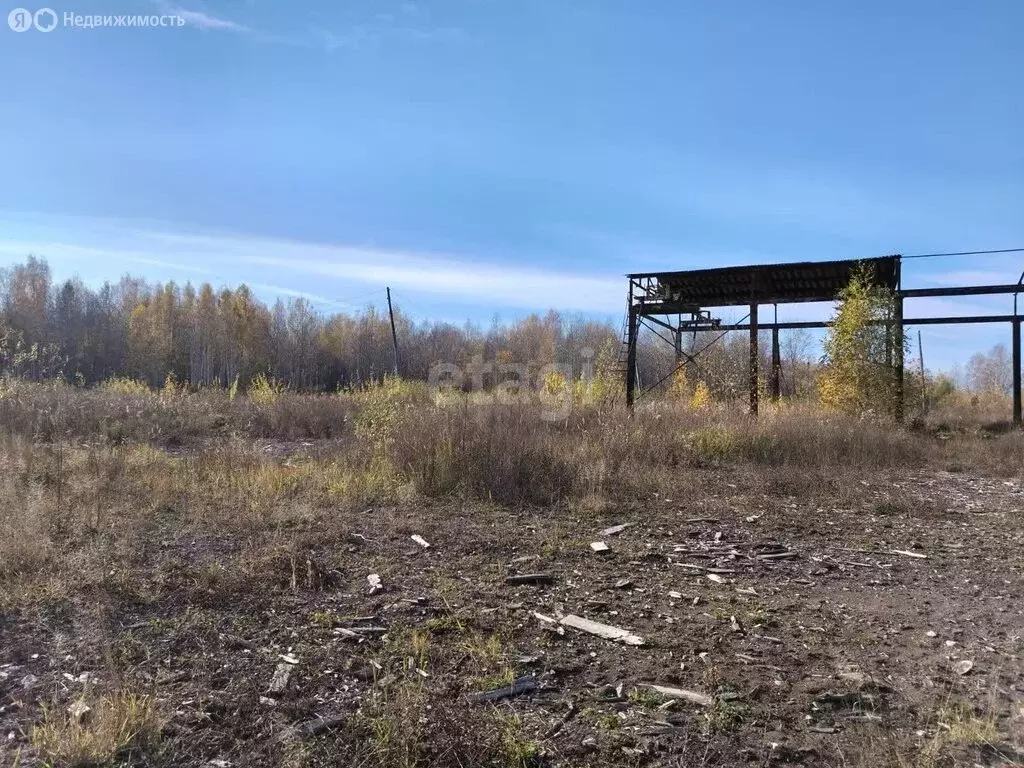 Участок в Свердловская область, посёлок городского типа Пионерский ... - Фото 1