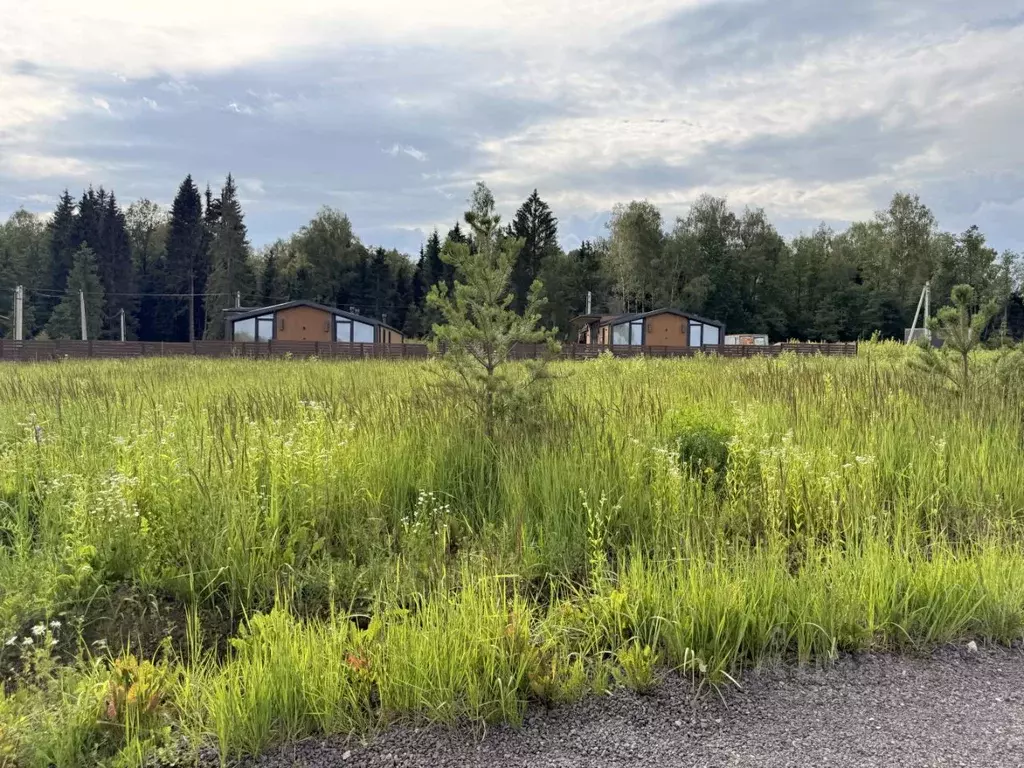 Участок в Московская область, Истра муниципальный округ, д. Большое ... - Фото 1