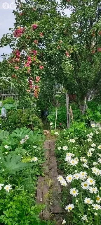 Дом в Тюмень, СНТ Ямал, Ямальская улица, 55 (20 м) - Фото 0