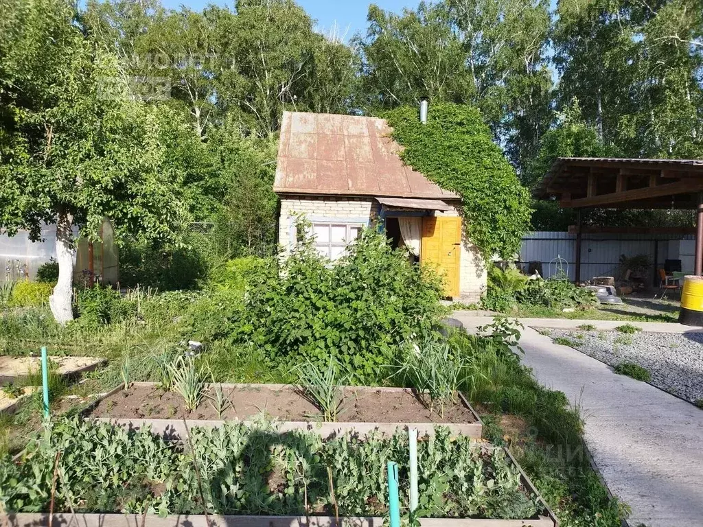 Дом в Челябинская область, Челябинск Янтарь садовое товарищество, ул. ... - Фото 1