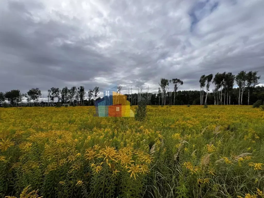 Участок в Тульская область, Тула городской округ, пос. Молодежный, ... - Фото 2