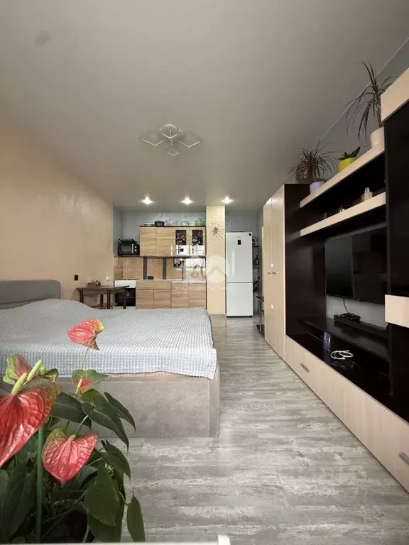 Студия Новосибирская область, Новосибирск ул. Петухова, 103/2 (28.0 м) - Фото 1