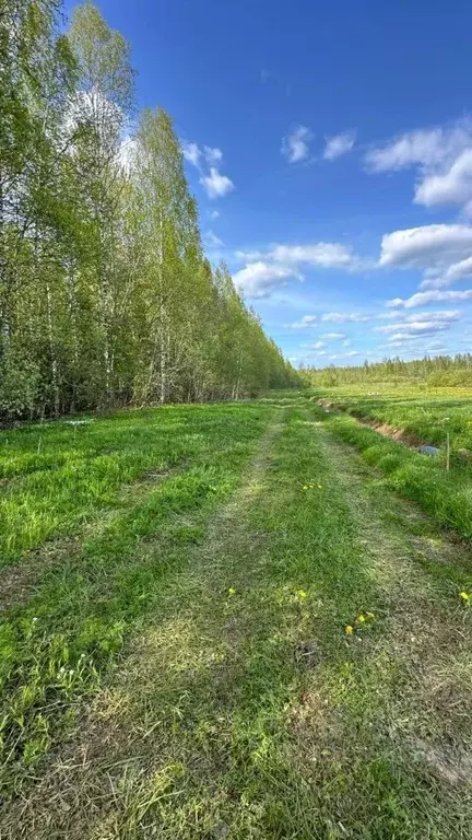 Участок в Новгородская область, Маловишерское городское поселение, д. ... - Фото 0