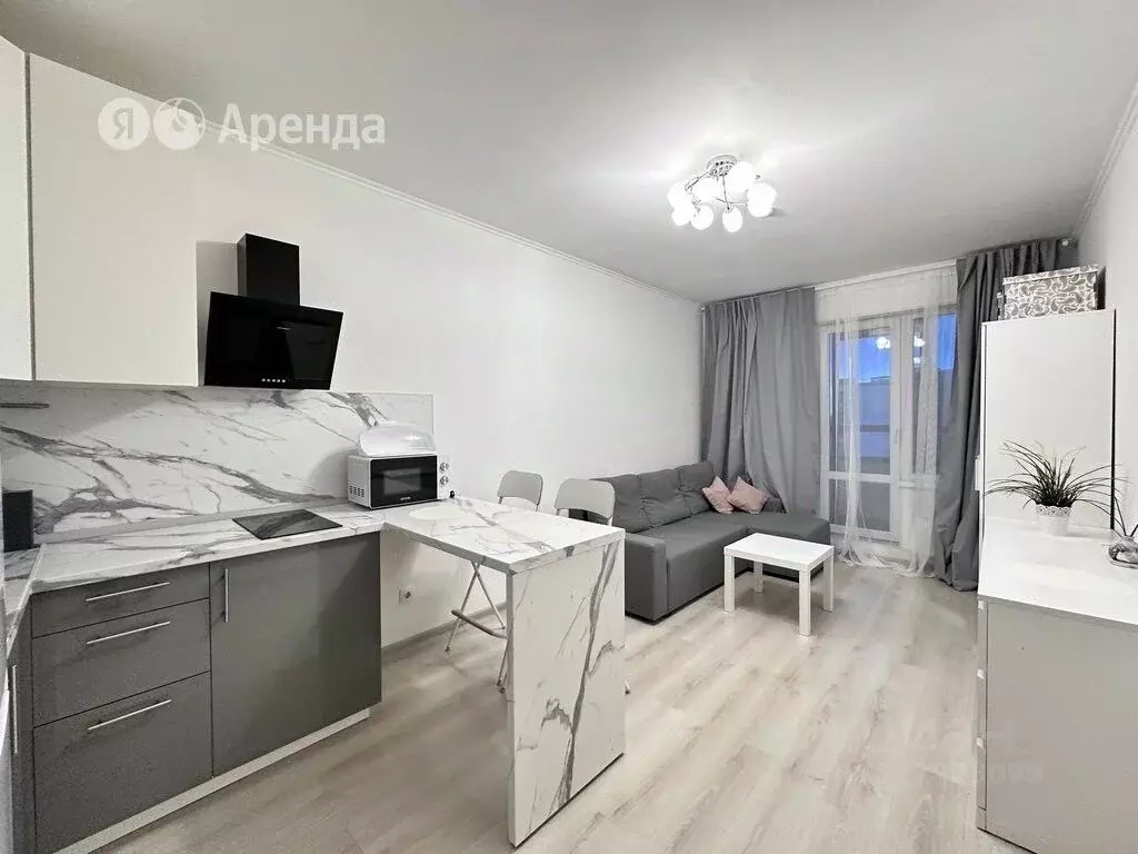 Студия Санкт-Петербург просп. Ветеранов, 175 (25.0 м) - Фото 1