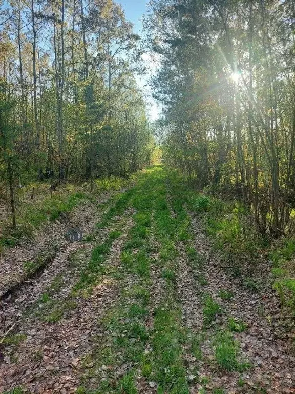 Участок в Иркутская область, Шелеховский район, Большелугское ... - Фото 0