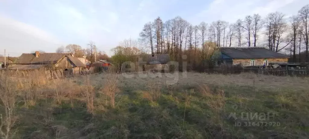 Участок в Брянская область, Навля рп ул. Речная (12.0 сот.) - Фото 1