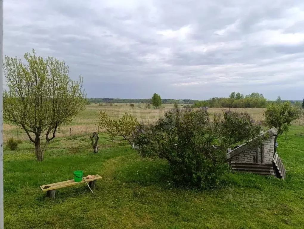 Участок в Брянская область, Почепский район, Речицкое с/пос, с. Рогово ... - Фото 1