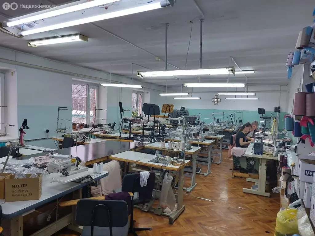 Офис (660 м) - Фото 2