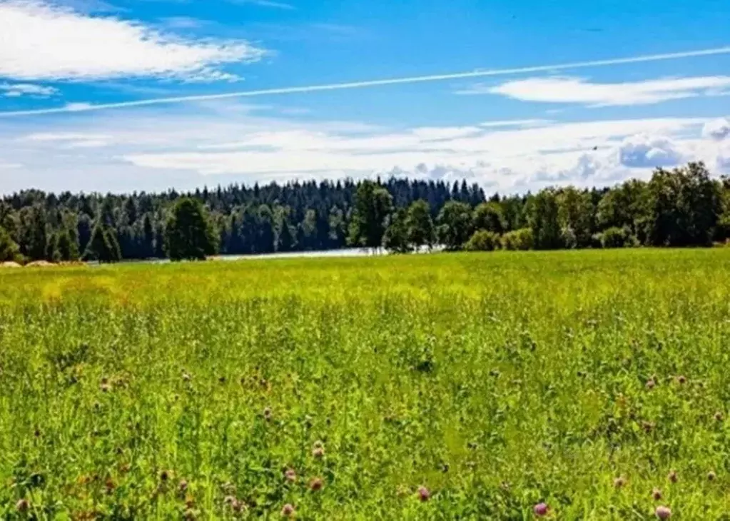 Участок в Ленинградская область, Выборгский район, Рощинское городское ... - Фото 0