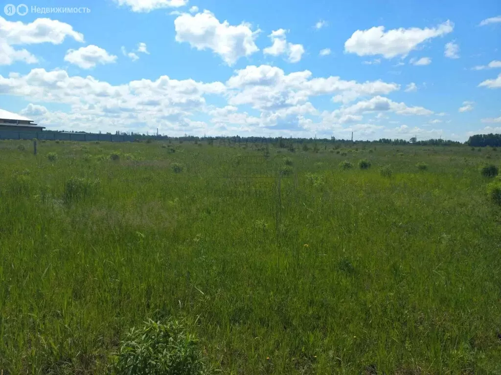 Участок в деревня Воробьёво, Радужная улица, 78 (10 м) - Фото 1