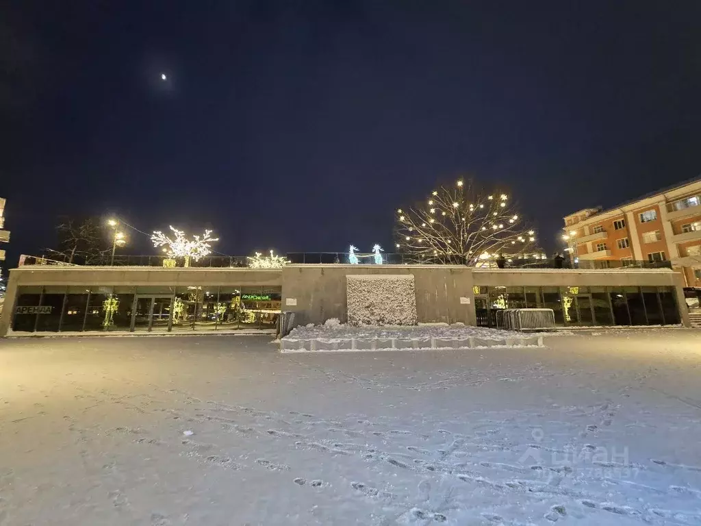 Помещение свободного назначения в Московская область, Ногинск ... - Фото 1