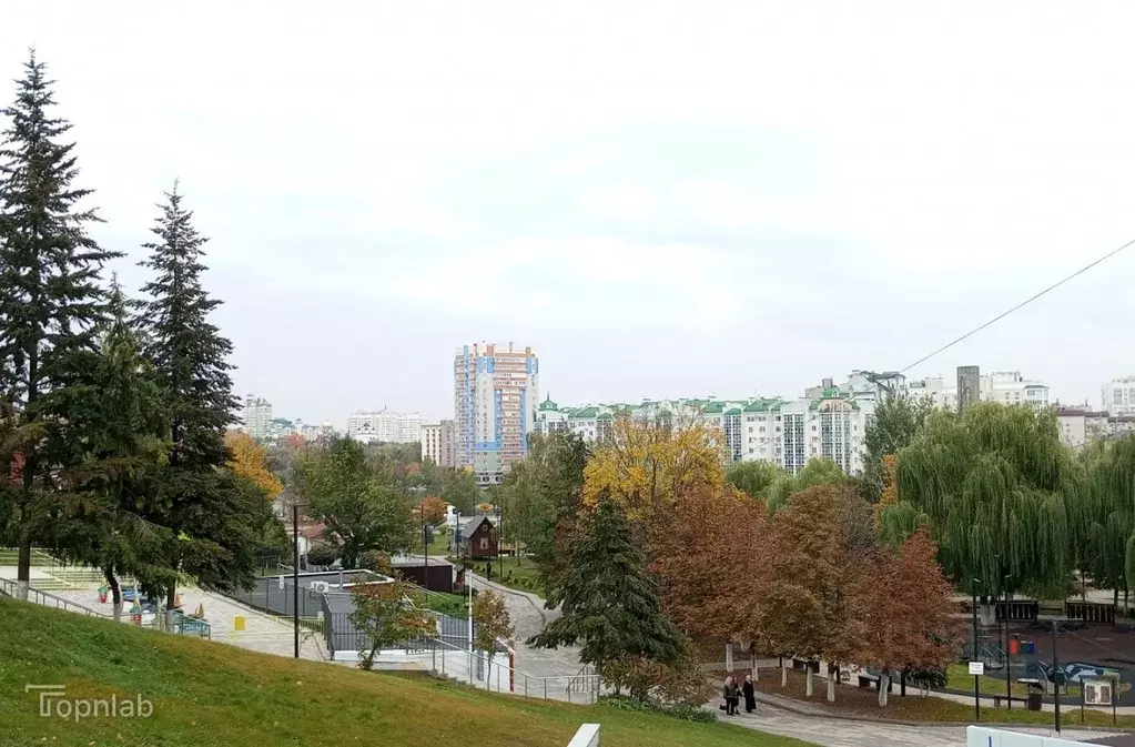 3-к кв. Орловская область, Орел ул. Ленина, 28 (55.3 м) - Фото 1