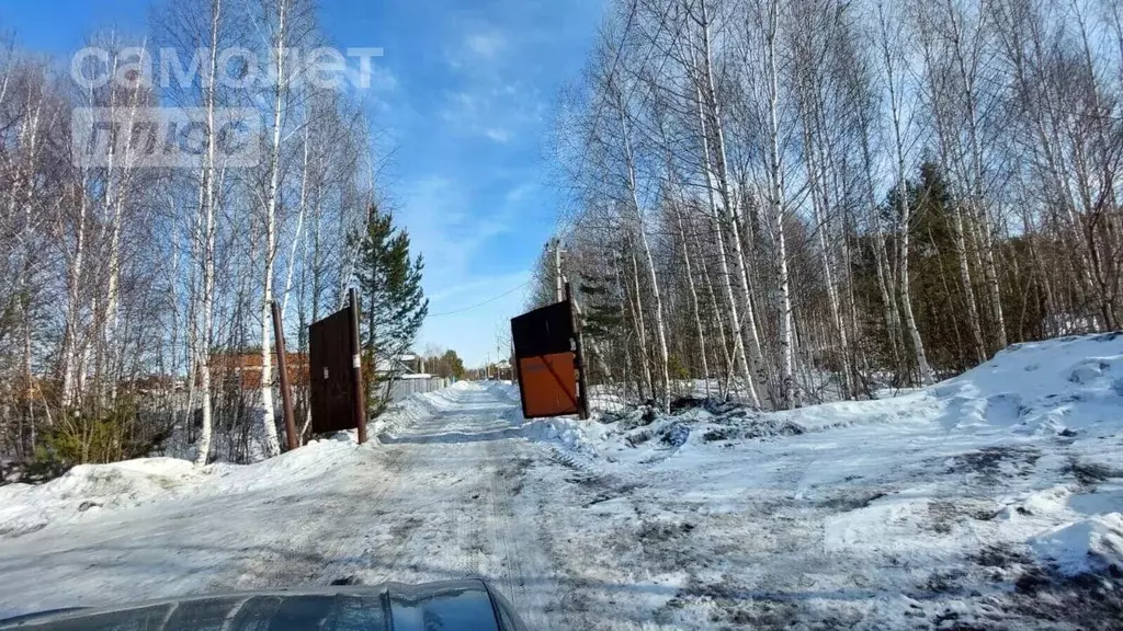 Участок в Свердловская область, Екатеринбург Северка-1 садоводческий ... - Фото 0