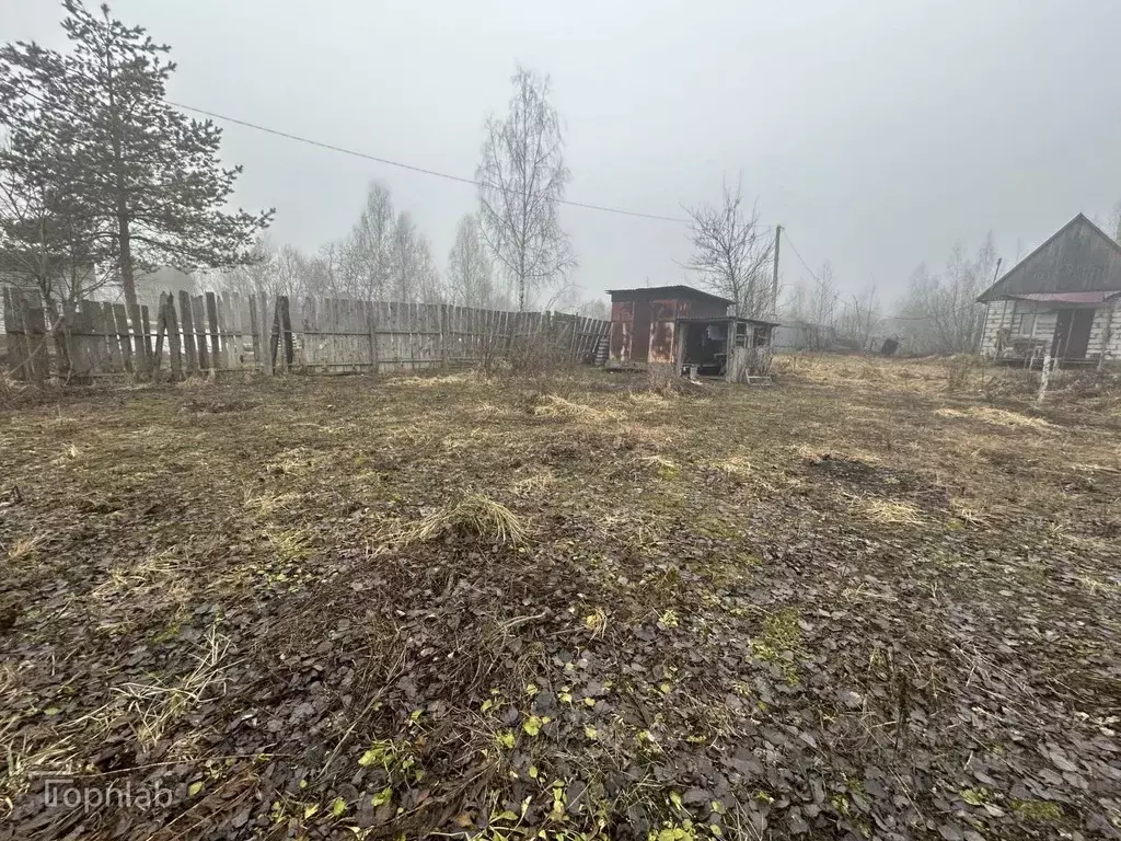 Участок в Брянская область, Брянский район, Супоневское с/пос, Рассвет ... - Фото 1