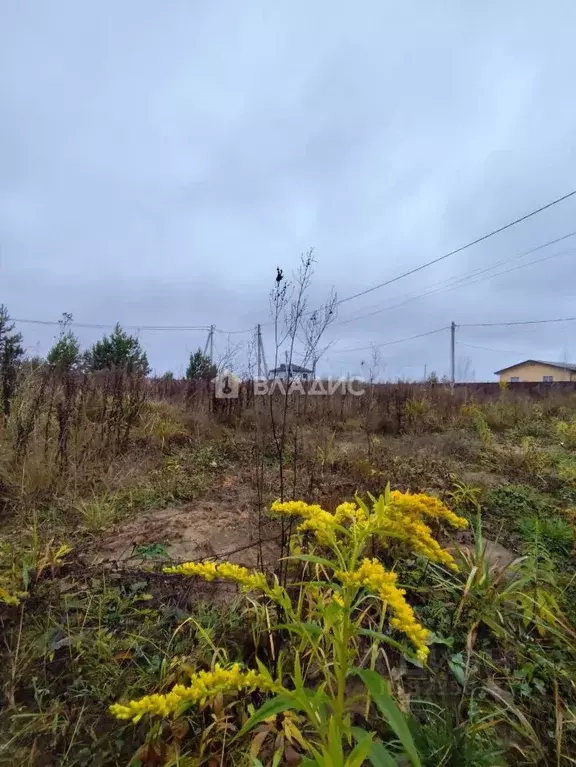 Участок в Владимирская область, Владимир д. Уварово, проезд 1-й ... - Фото 1