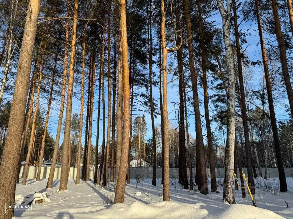 Участок в Свердловская область, Сысертский городской округ, пос. ... - Фото 0