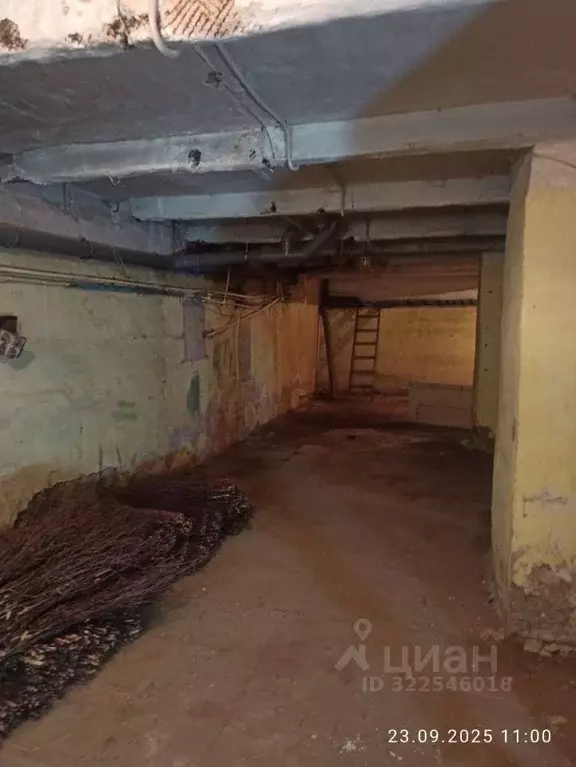 Помещение свободного назначения в Свердловская область, Екатеринбург ... - Фото 2