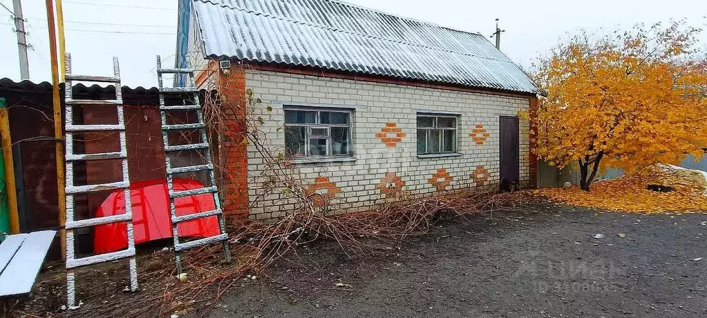 Дом в Белгородская область, Волоконовский район, с. Волчья ... - Фото 1