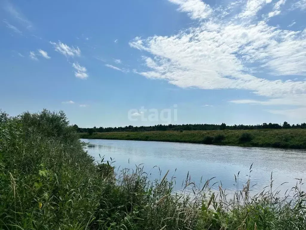 Дом в Тверская область, Тверь Тверца ДСК,  (46 м) - Фото 1