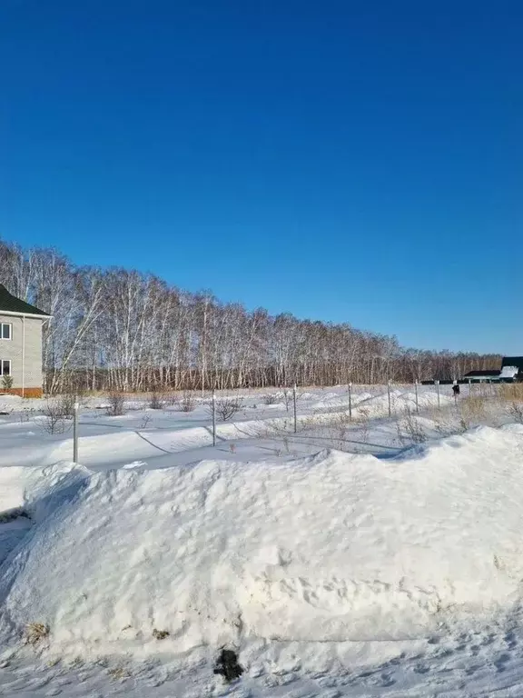 Участок в Омская область, Омский район, с. Усть-Заостровка, Иртышские ... - Фото 1