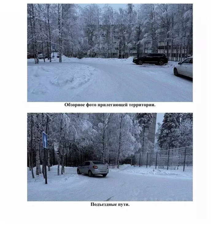 Помещение свободного назначения в Карелия, Костомукша ул. Калевала, 13 ... - Фото 2