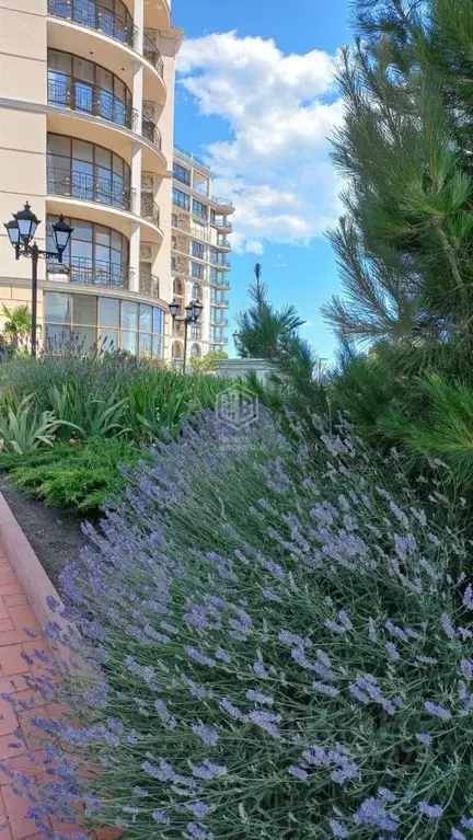 1-к кв. Крым, Ялта муниципальный округ, Отрадное пгт ш. Дражинского, ... - Фото 2